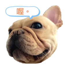 法鬥嘟比