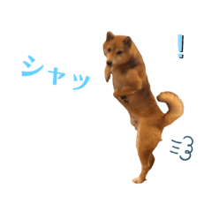 Ken_20201215112641