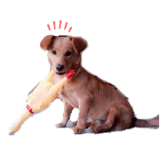 fhunJii_20201214231343