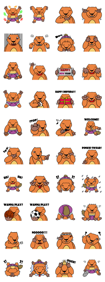 Latte the Marmot Latte the Marmot