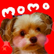 Cute momochan Cute momochan