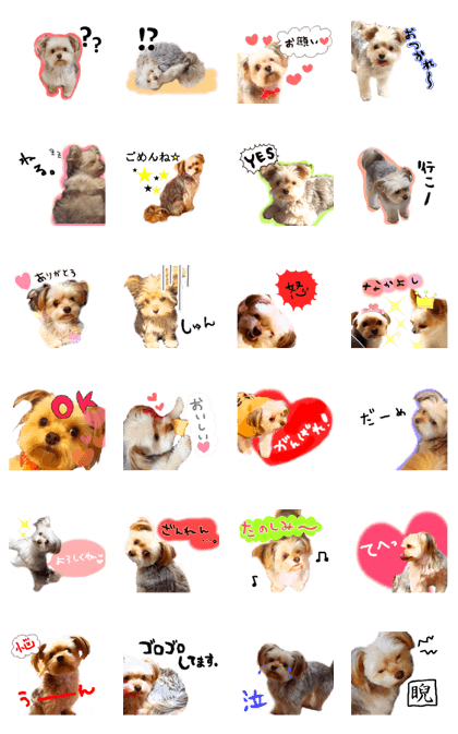 Cute momochan Cute momochan