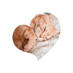 alice_20201215120830