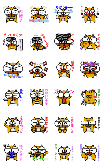 A cat with big eyes A cat with big eyes