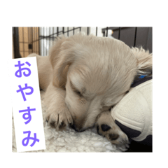 cream_20201215122126