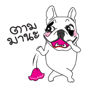 Chubby Chaba Chubby Chaba