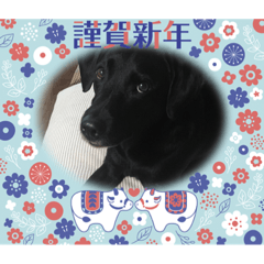kichi_20201215120705