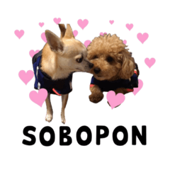 tomomi_20201215141428