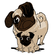 Hoppi and Lil Hoppee Hoppi and Lil Hoppee