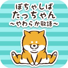 Pocha Shiba Tacchan (Honorific)