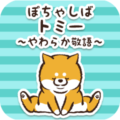 Pocha Shiba Tomii (Honorific)