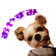 I family's cute Sticker I family's cute Sticker