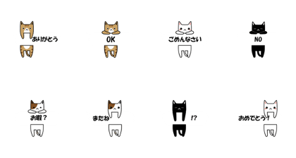 Message hug hold cat sticker Message hug hold cat sticker