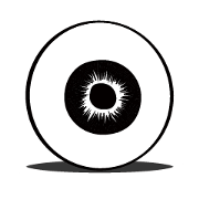 Eyeball's life Eyeball's life