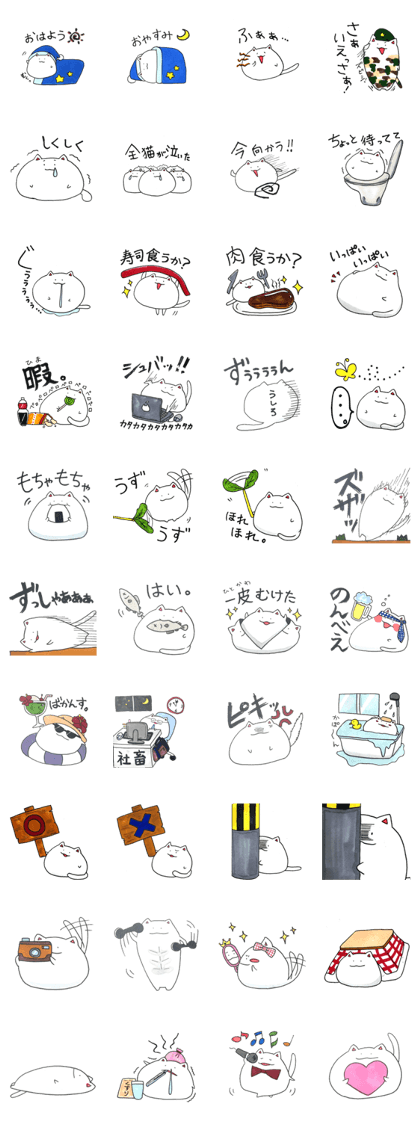 Round white cat Round white cat