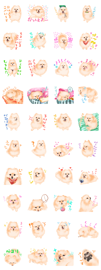 May the Pomeranian3. May the Pomeranian3.