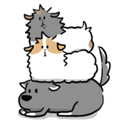 Momo and Mumu Momo and Mumu