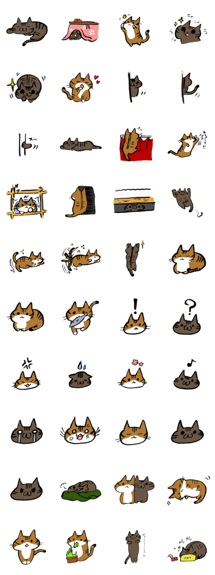 CATS-KINchan&AOIchan CATS-KINchan&AOIchan