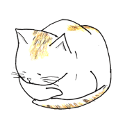 Everyday Tortoiseshell cat Everyday Tortoiseshell cat