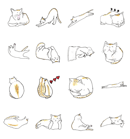 Everyday Tortoiseshell cat Everyday Tortoiseshell cat