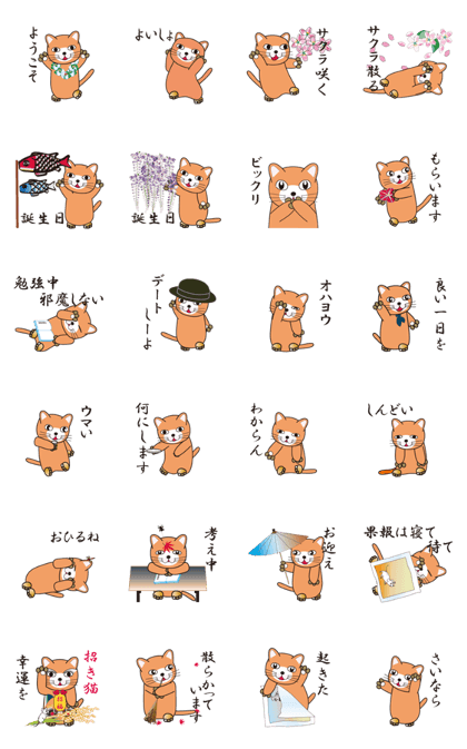 500 cats 3-432j-1 500 cats 3-432j-1