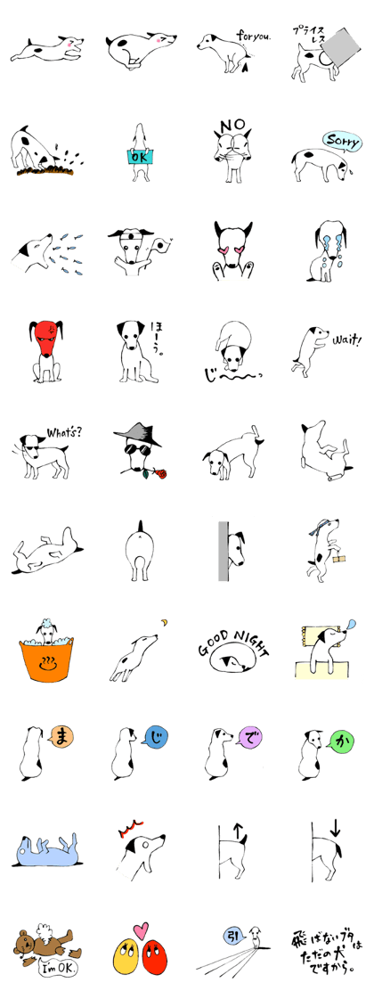 Jack Russell Terrier TAKUMI