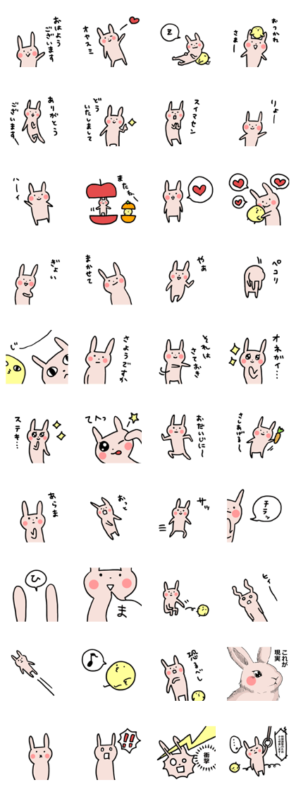 usagi_oochan usagi_oochan