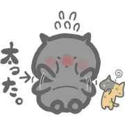 black cat & tortoiseshell cat black cat & tortoiseshell cat