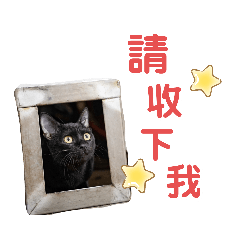 2020喵吉歡慶聖誕-喵里酷利斯莫斯