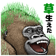 Gorilla gorilla 4 Gorilla gorilla 4