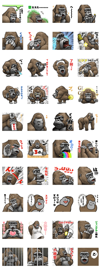 Gorilla gorilla 4 Gorilla gorilla 4