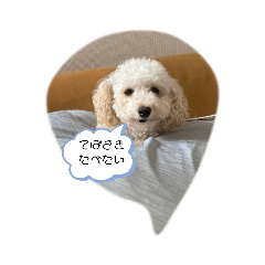 yamada_20201215161347