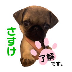 asuka_20201215164124