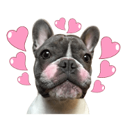 Lovely Emma Princess