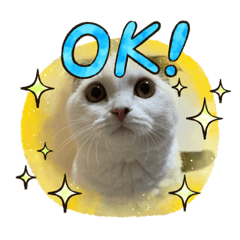 hiyori_20201215192659