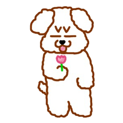 Toy Poodle's Toy