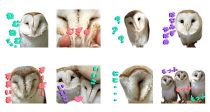 barn owl,lulu,belle,sue part2