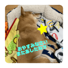 MIYUU_20201215222242