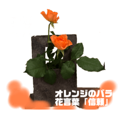 Yukari_20201215221341