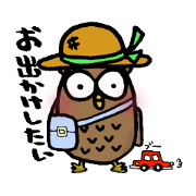 The owl which is the pace The owl which is the pace