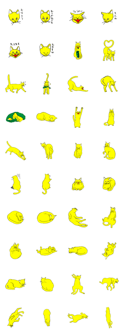 roro is cat roro is cat