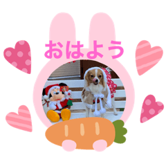 yukari_20201216082144