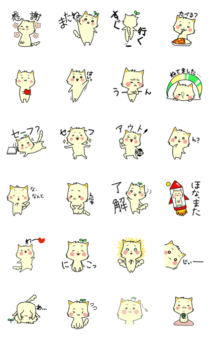 White Cat having two leaves White Cat having two leaves