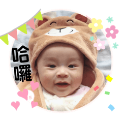 多兒滾滾可愛表情包～1