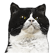 Mink's stickers become the real thing! Mink's stickers become the real thing!