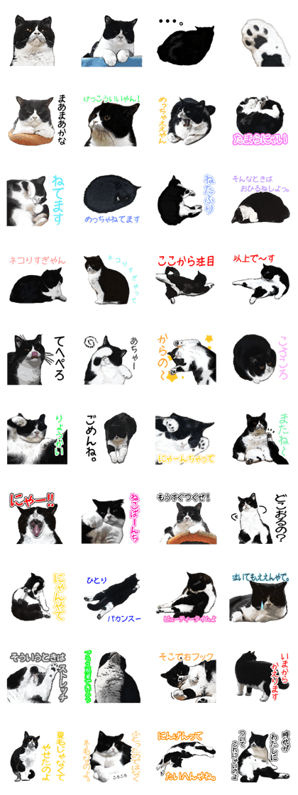 Mink's stickers become the real thing! Mink's stickers become the real thing!