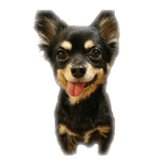 Sattsu House Sattsu House