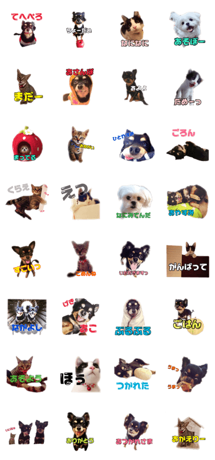 Sattsu House Sattsu House