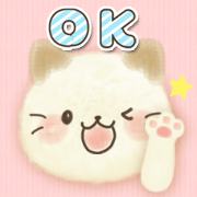 Fluffy and adorable cat Fluffy and adorable cat