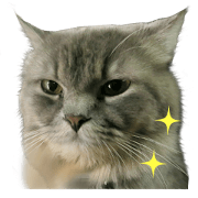 Gornmegg - Cat the house's owner Gornmegg - Cat the house's owner